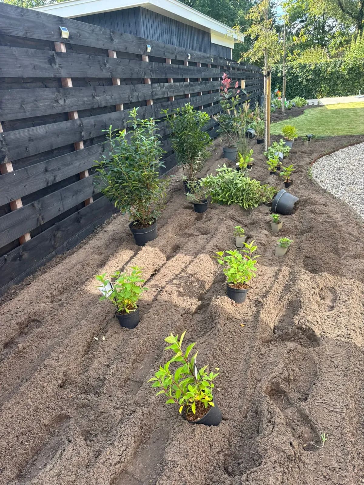 Plantvak langs een zwarte houten schutting in Lippenhuizen, met jonge planten in pot op hun plek en een grindpad ernaast