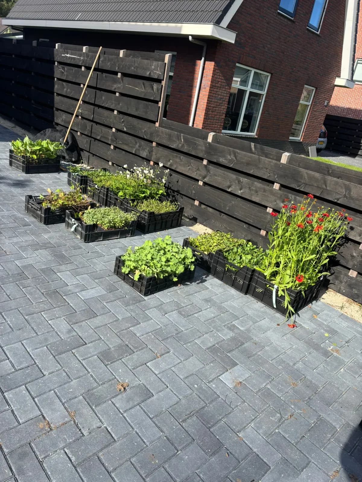 Klinkers in keperverband langs een zwarte houten schutting bij een nieuwbouwwoning in Lippenhuizen, met kratten jonge planten klaar om te planten