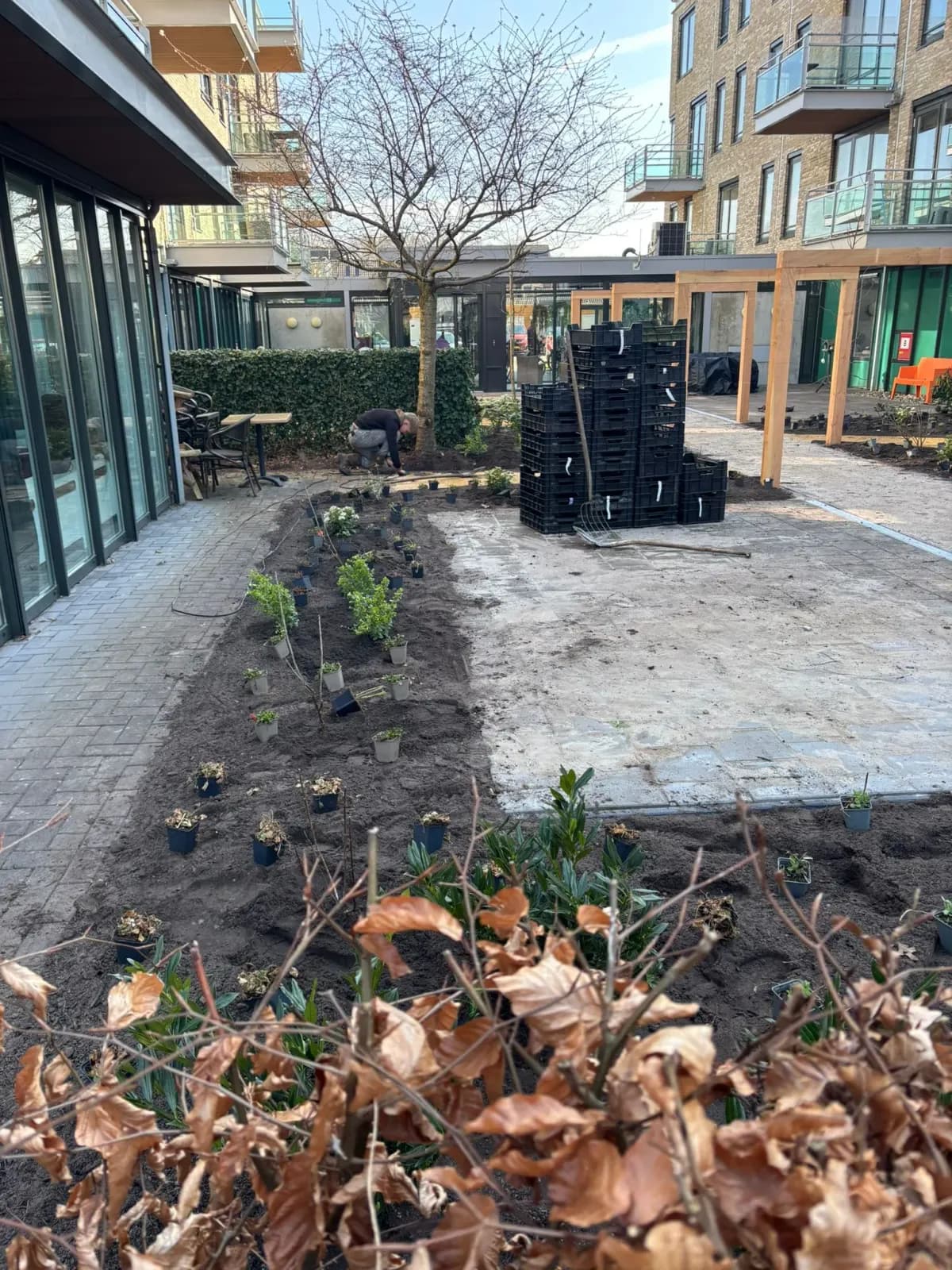 Nieuwe border met jonge planten langs het terras van zorglocatie Voltawerk in Gorredijk, met achterin een hovenier aan het werk en de houten pergola