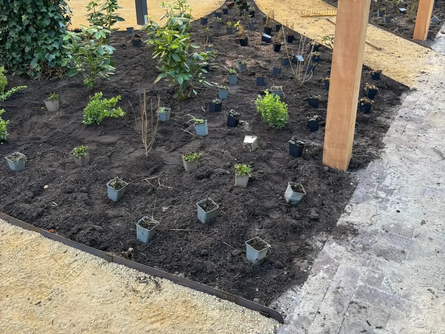 Slingerend pad door de nieuw aangeplante belevingstuin bij zorglocatie Voltawerk in Gorredijk, met jonge planten in de borders en een paal van de houten pergola