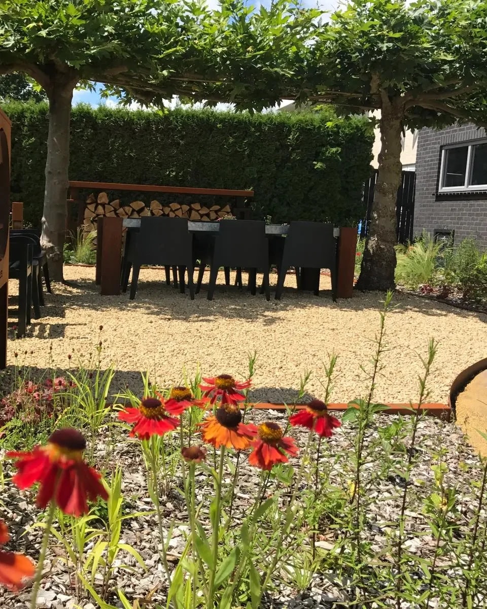 Twee leibomen in dakvorm met een platte, dichte kroon boven een terras van grind met een tuintafel, een houtstapel en een haag erachter