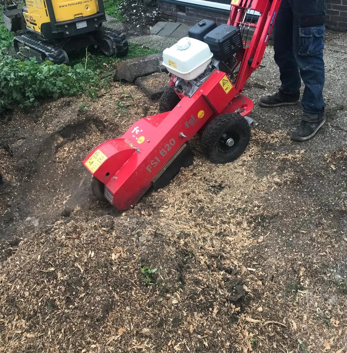 Rode stobbenfrees in een laag houtsnippers in een voortuin, rechts een medewerker. Links een gele minigraver van Feitze Dijkstra