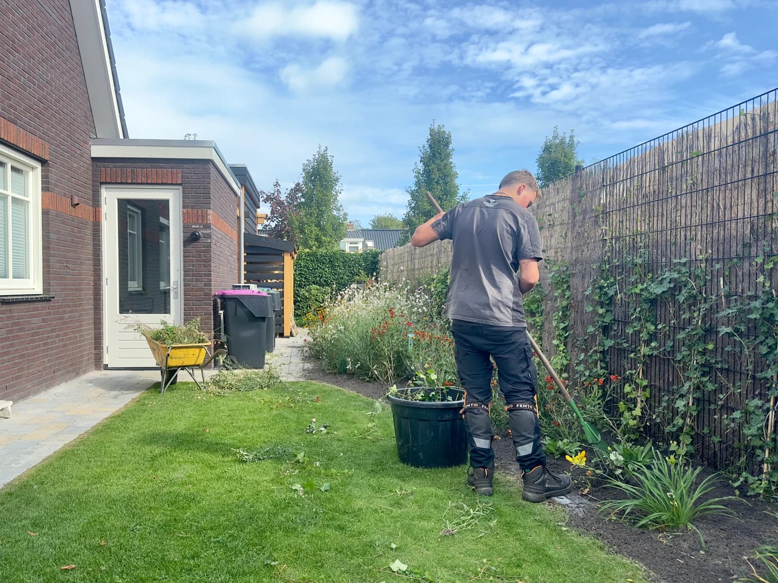 Hovenier in bedrijfskleding harkt een border met witte gaura en oranje helenium langs een rietmat met klimop. Op het gazon staat een kuip met groenafval, bij het huis een kruiwagen