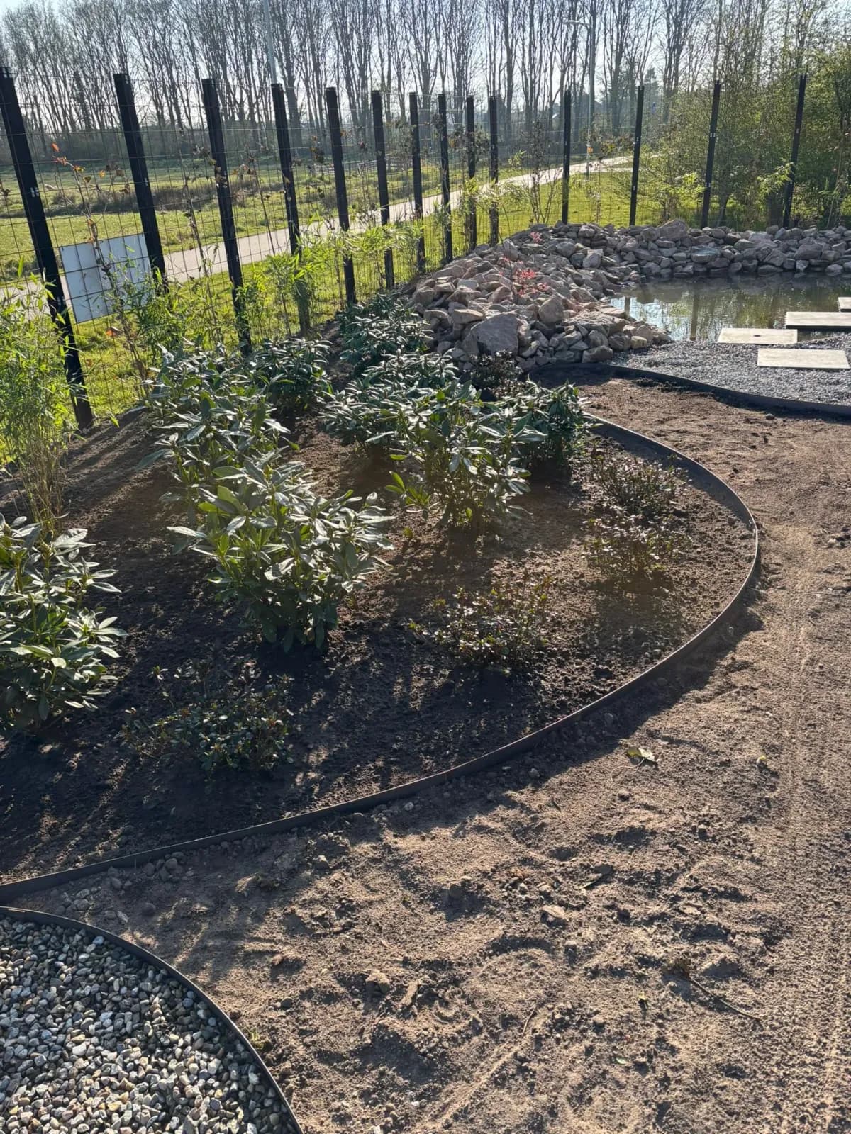 Gebogen kantopsluiting in de nog kale grond van een Japanse tuin in aanleg bij een nieuwbouwwoning in Gorredijk, met een pas geplant vak met rododendrons en achterin de vijver met rotsrand