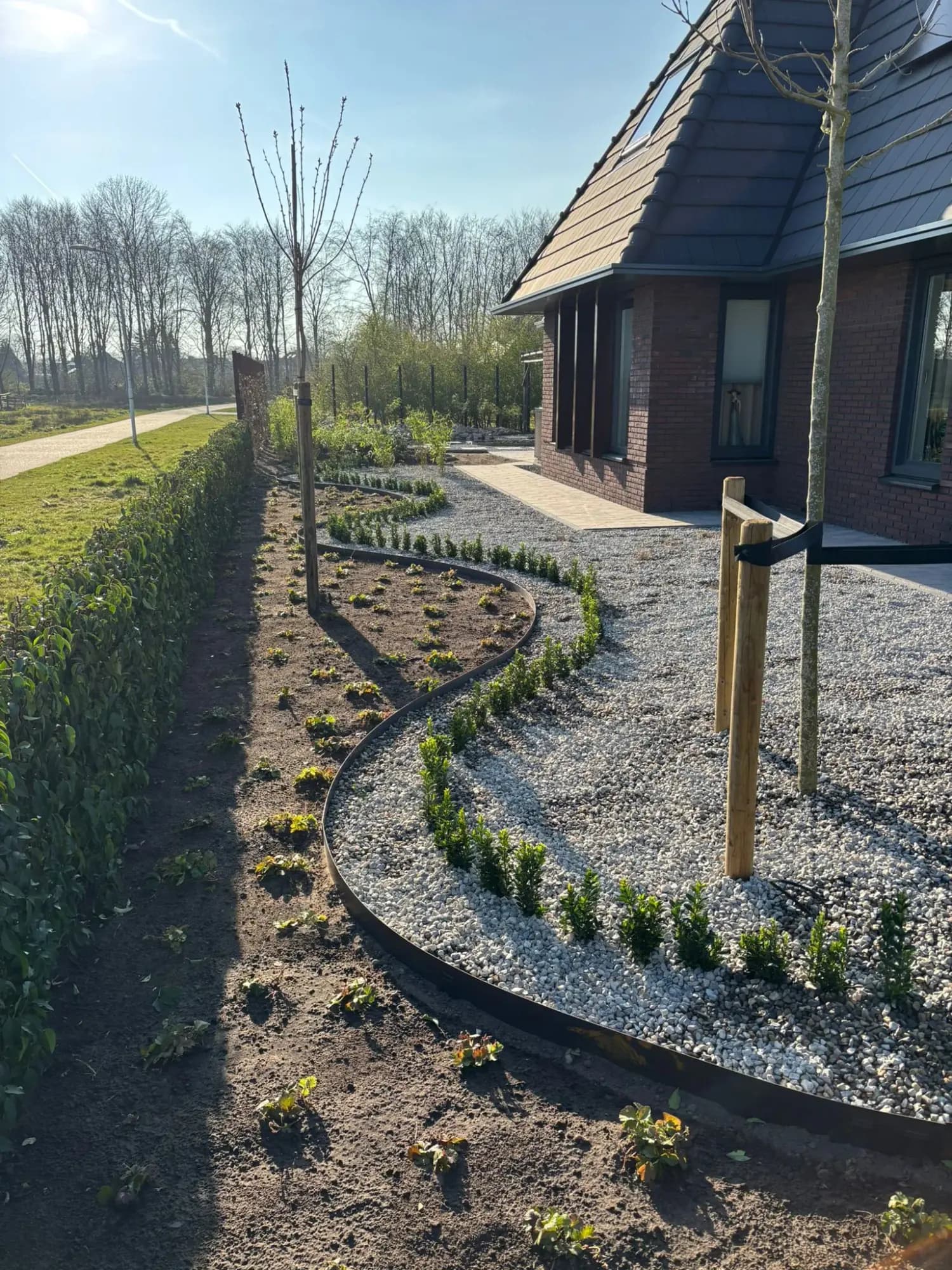 Nieuwbouwtuin met slingerende cortenstalen border, grind en jonge haag in Japanse stijl