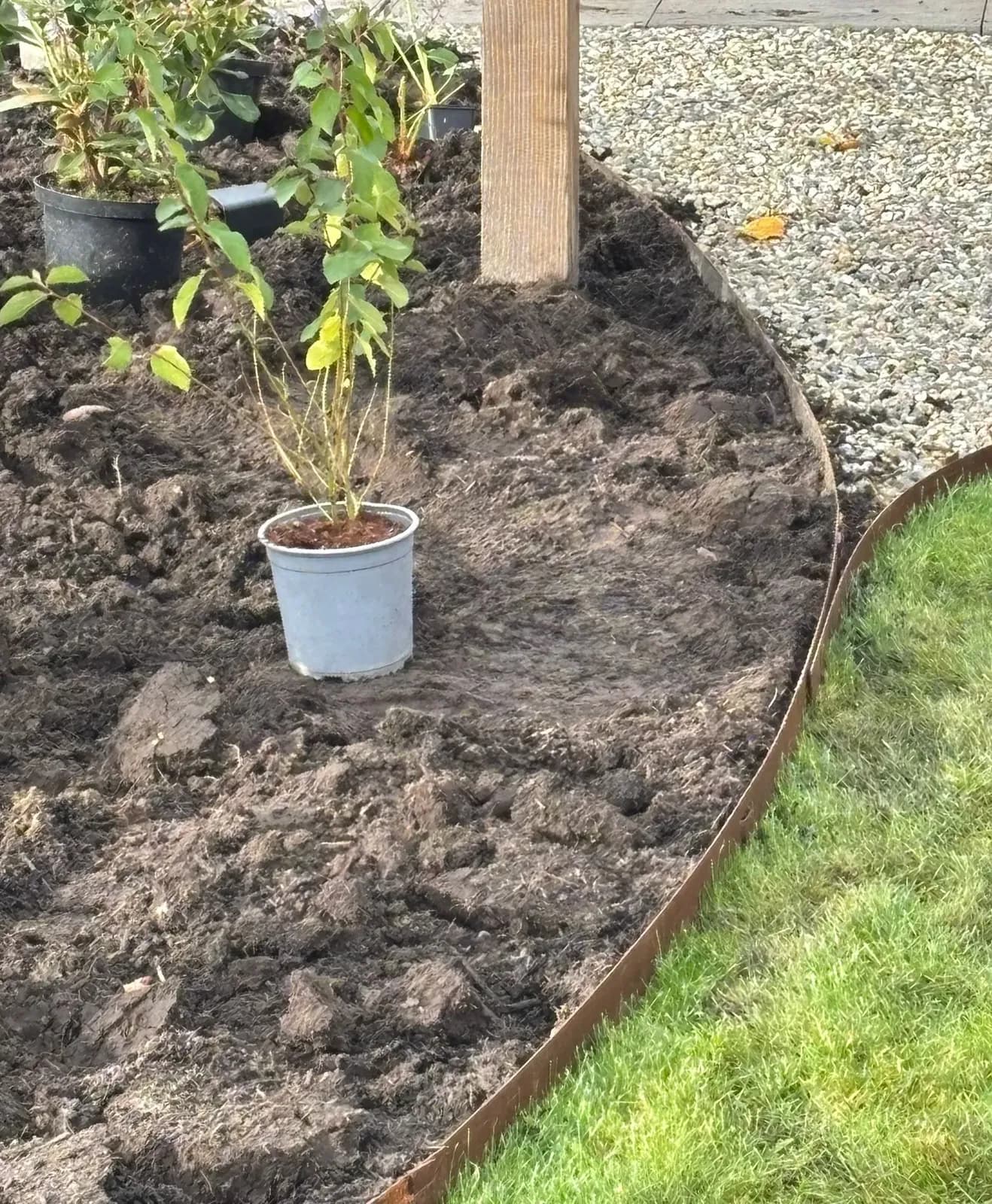 Jonge planten in pot op een nieuwe border met een rand van cortenstaal tussen grind en gazon in De Vrieswijck in Gorredijk