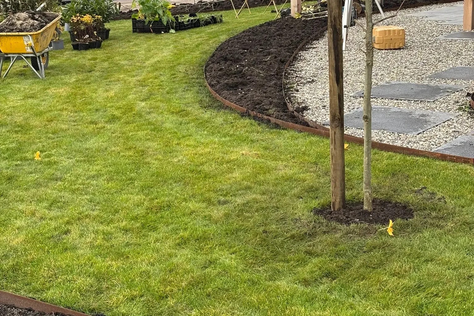 Tuin met gras en grind in aanleg in De Vrieswijck in Gorredijk: nieuw gazon met een organische rand van cortenstaal, grind met staptegels en een jonge boom met steunpaal