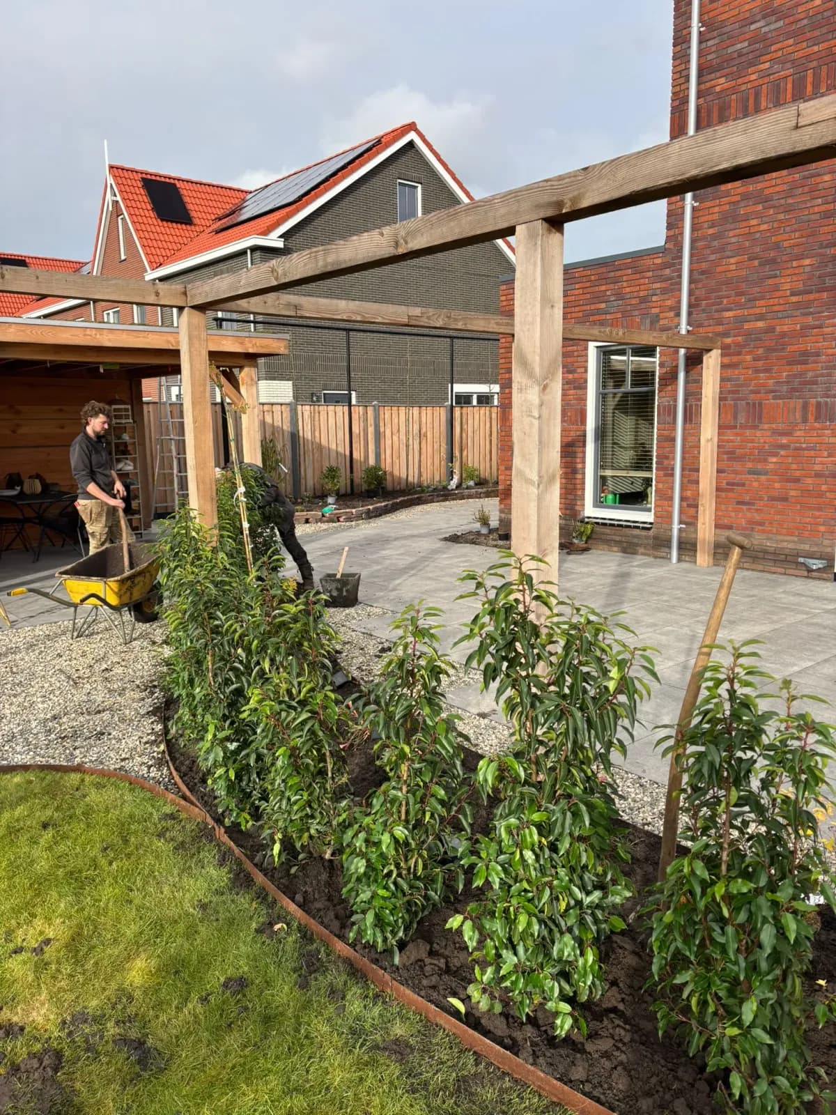 Tuin in aanleg met strak gazon, grind en een jonge groene haag langs een rand van cortenstaal naast een houten pergola, met hoveniers aan het werk bij een nieuwbouwwoning in De Vrieswijck in Gorredijk