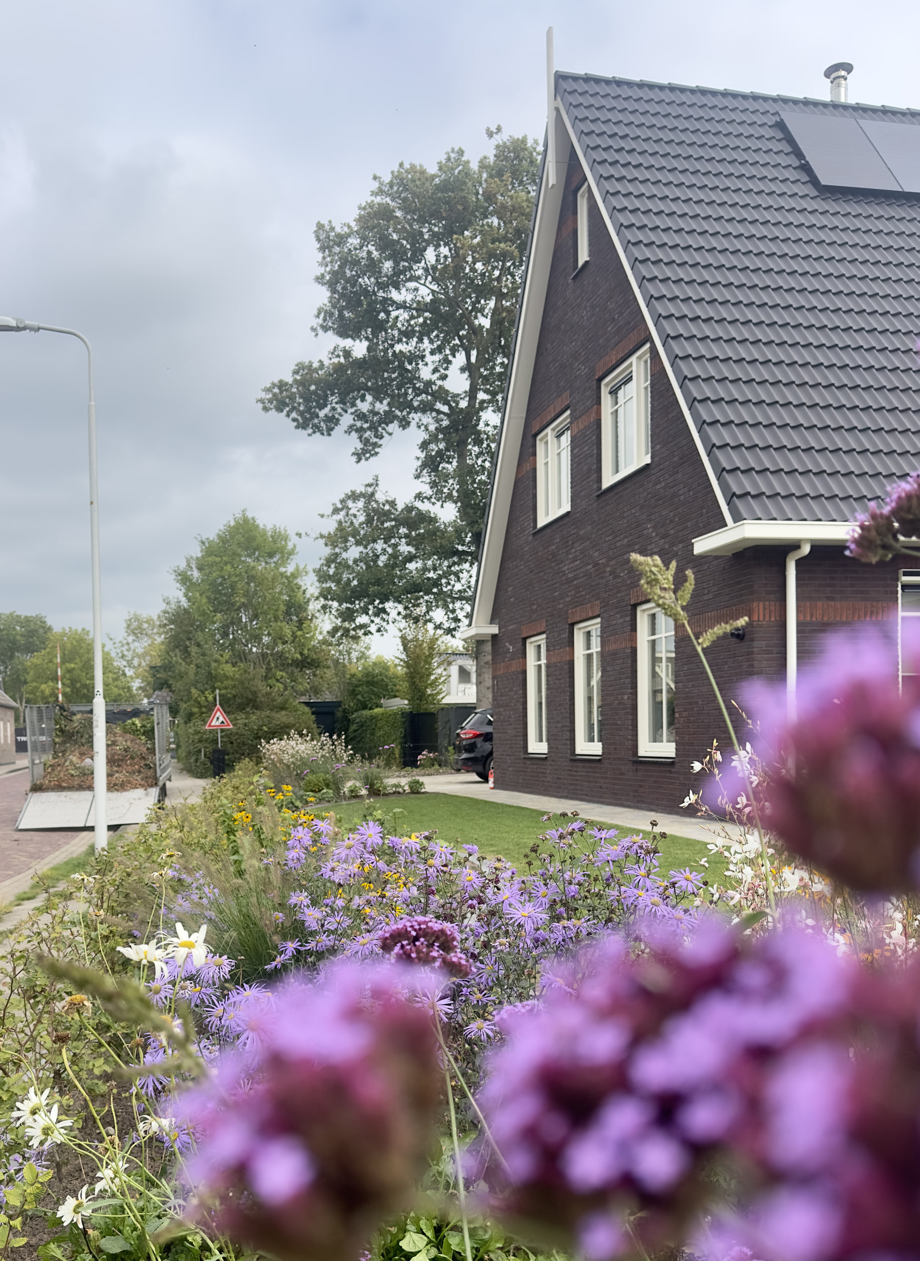 Border met paarse asters, gele rudbeckia, margrieten en witte gaura langs het gazon naast een woning met een steil pannendak. Op de voorgrond onscherpe paarse verbena
